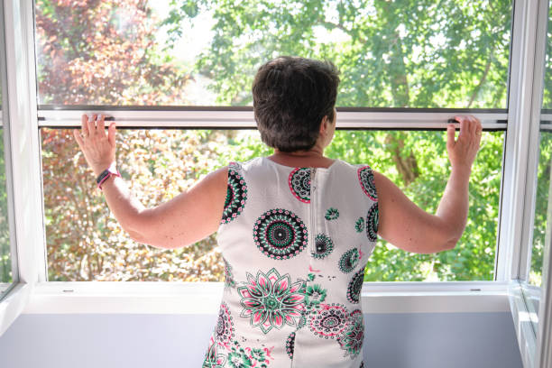istock Woman closing the insect screen 1251341468
