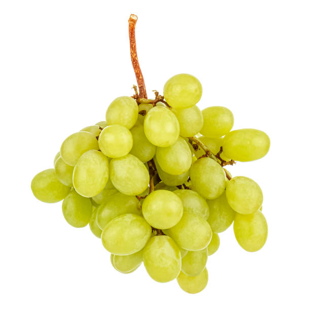 istock Bunch of green grapes isolated on white background 1251341772
