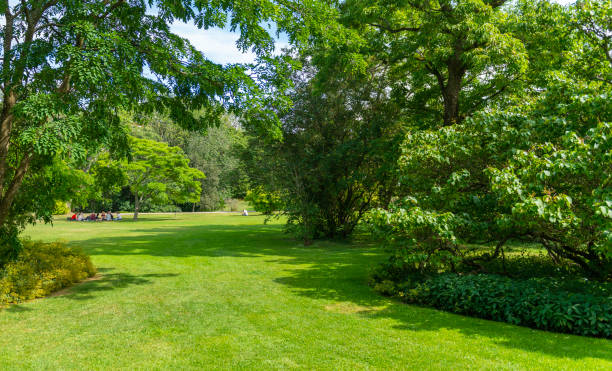 istock Picnic in public park 1251341896