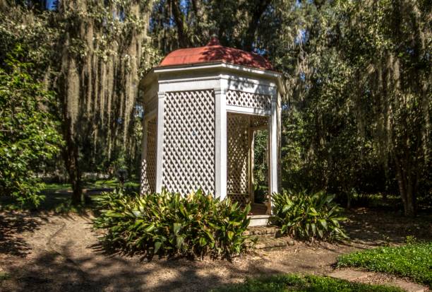 istock A Southern Garden. 1251343165