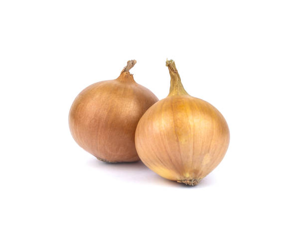 istock Fresh onion isolated on white background, onion for salad 1251343464