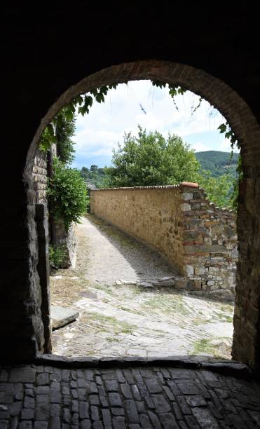 istock Montefioralle and its medieval village 1251344606
