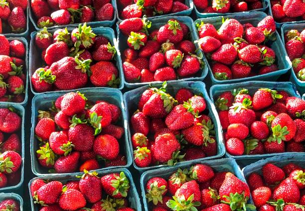 strawberries - market fruit strawberry farmers market imagens e fotografias de stock