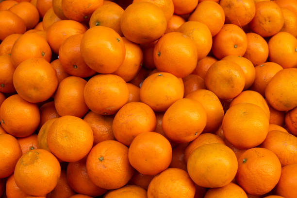 istock Oranges for sale, Kolkata, India 1251347353