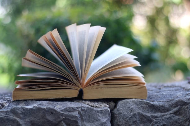 istock Book in a Garden 1251349828