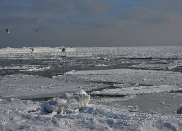 istock Winter Black Sea in the ice under the snow clouds. 1251350352