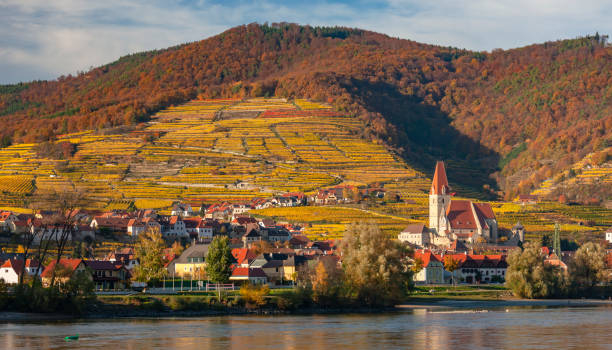 istock Spitz on Danube in the romantic sunset, Austria 1251350500