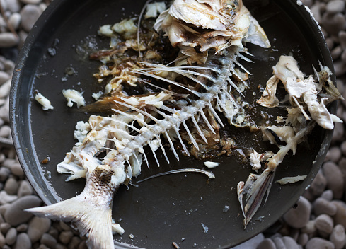 Gnawed skeleton with head and tail of freshly caught fried fish (dorado) in metal pan on pebble beach. Outdoor cooking. Fishing and sea holidays. View from above.