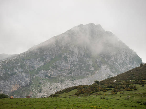 istock Valleys and hills... and a cow 1251350782