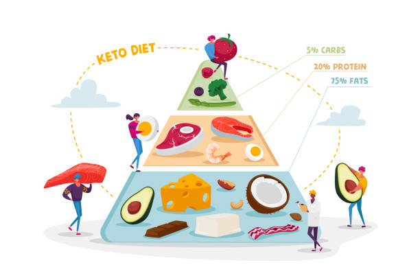 dieta ketogeniczna, koncepcja zdrowego odżywiania. postacie set up piramida wyboru dobrych źródeł tłuszczu, zrównoważony low-carb żywności warzywa, ryby, mięso, ser, orzechy. cartoon people wektor ilustracja - lowcarb stock illustrations