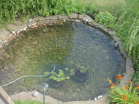 Gorgeous view of exterior of a private garden.Landscape design. Pond. Decorative pool with rocks and green plants.  Sweden. Europe.