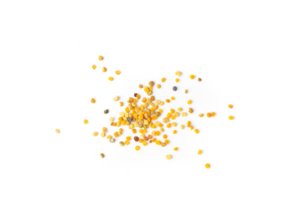istock Bee Pollen, Perga, Flower Pollen Grains or Bee Bread 1251352514