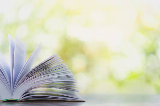istock Open book on wood planks over abstract light background 1251352535
