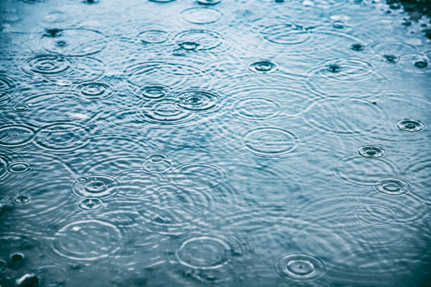 Rain drops background stock photo
