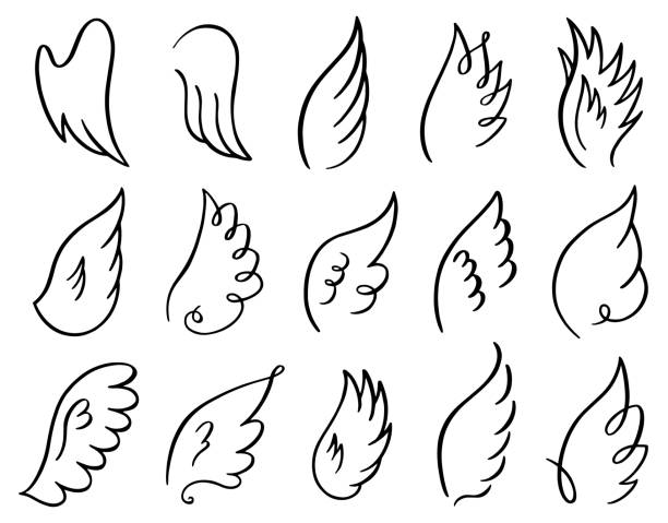 Hand drawn wings. Doodle sketch angel flight feather, angels or birds elegant wings spread, winged angel elements vector illustration icons set Hand drawn wings. Doodle sketch angel flight feather, angels or birds elegant wings spread, winged angel elements vector illustration icons set. Stroke wing drawn, angelic tattoo contour angel wings drawing stock illustrations