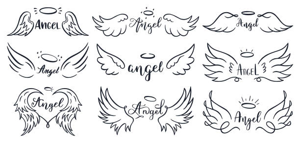 stockillustraties, clipart, cartoons en iconen met vleugels hand getrokken belettering. doodle elegante engelenvleugelszinnen, geschetste vluchtveer, gevleugelde engelenvleugels en beletteringsvectorillustratie reeks - engel