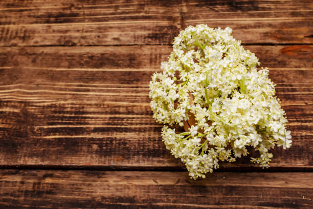 istock Fragrant bouquet of fresh elder flowers 1251354137