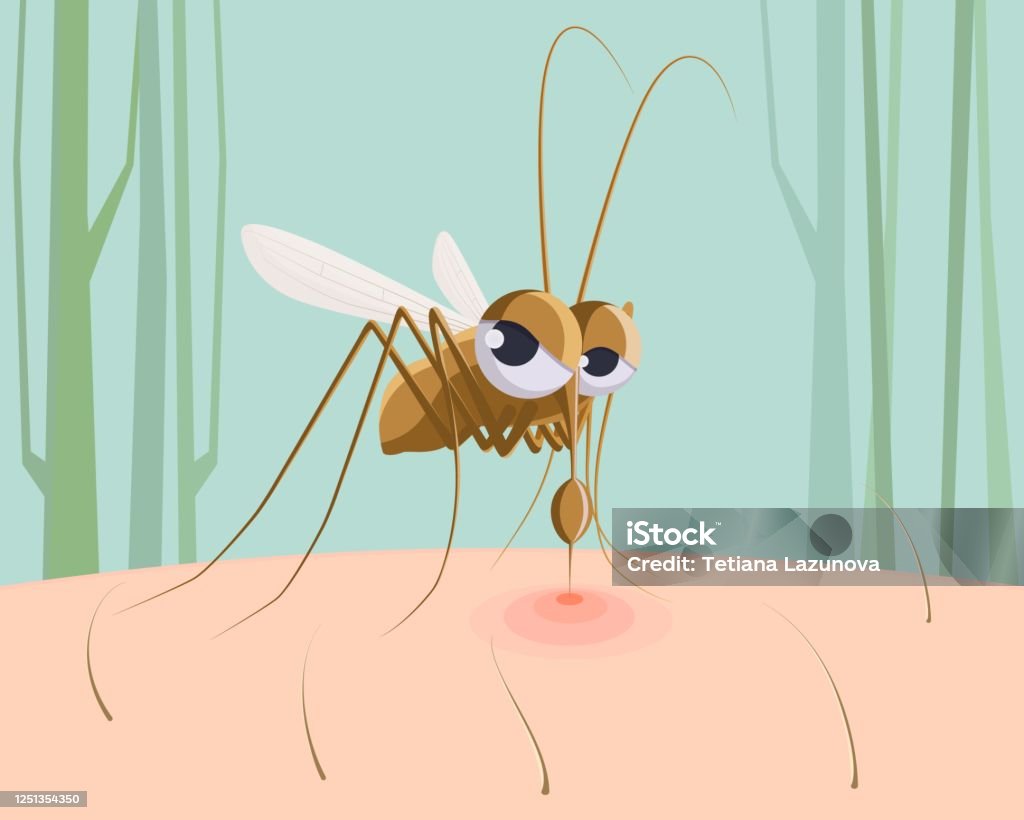 Muỗi Hút Máu Côn Trùng Gây Hại Hài Hước Vết Đỏ Do Muỗi Cắn Trên ...