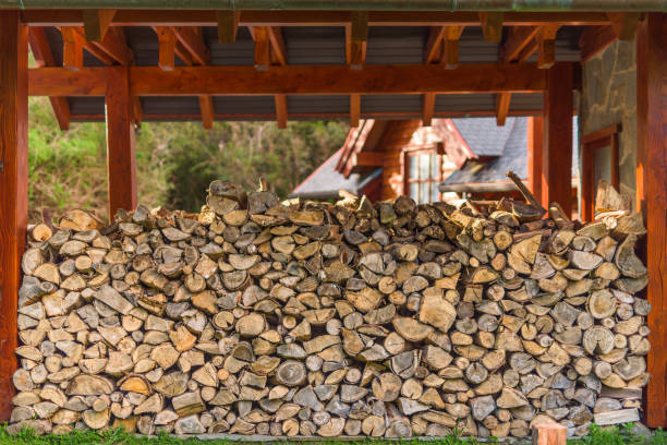 istock a big stack of wood for the fire 1251356357