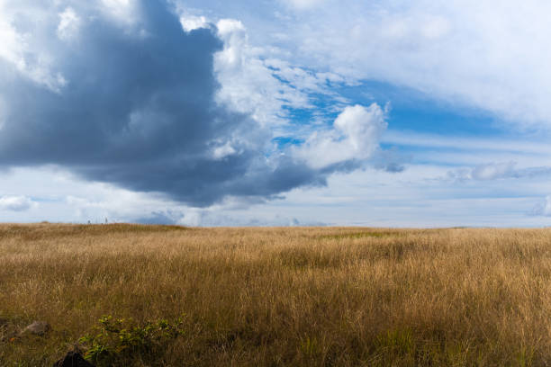 istock Landscape picture from easter island 1251356542