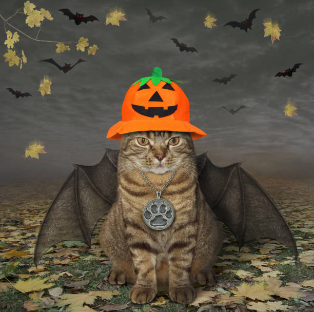 istock Cat with bat wings for halloween 3 1251360958