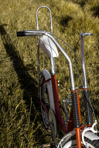 istock Vintage bicycle in the grass 1251366804