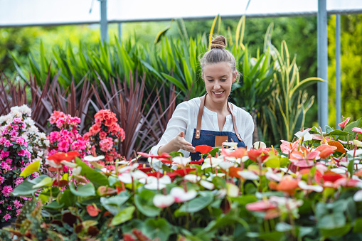 Attractive young woman working with decorative plants in garden center. Female supervisor examining plants in greenhouse. Beautiful gardener smiling at plant nursery