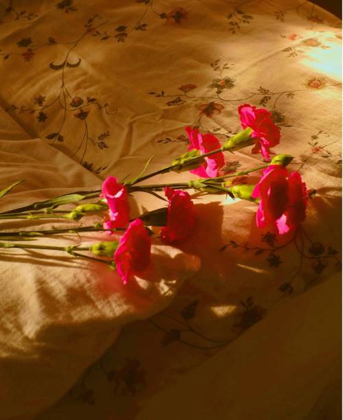 istock Golden Hour Flowers 1251373569