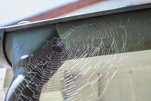 Close-up of a spider web on a rain gutter glittering in the sunlight, Germany