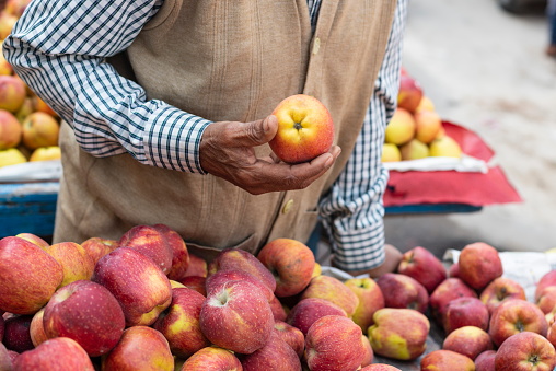 Apple in a hand of vendor at a marketplace, Delhi, India.