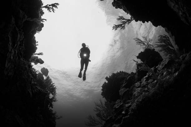 Scuba Diver at Indian Ocean Coral Reef