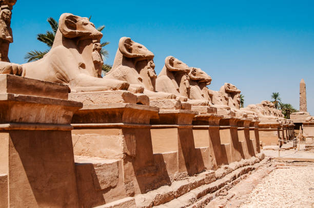 istock Ancient Ram-headed sphinx statues at archaeological complex in Karnak in Egypt. 1251376554