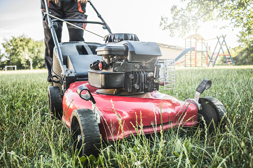 Lawn mower cutting green grass in backyard, garden service.