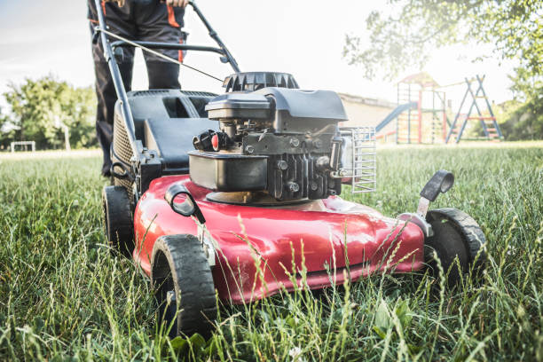 Lawn mower cutting green grass in backyard, garden service. stock photo