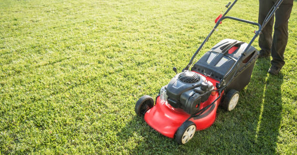 istock Lawn mower cutting green grass in backyard, garden service. 1251377972