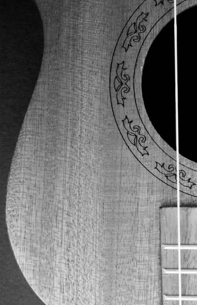 istock Close up, abstract details of stringed musical instruments including mandolins, guitars, and ukuleles shot in black and white. 1251379206