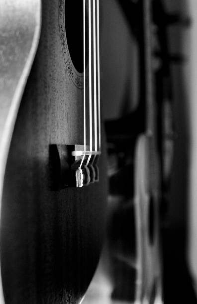 istock Black and white still life guitars and ukulele musical instruments 1251379215
