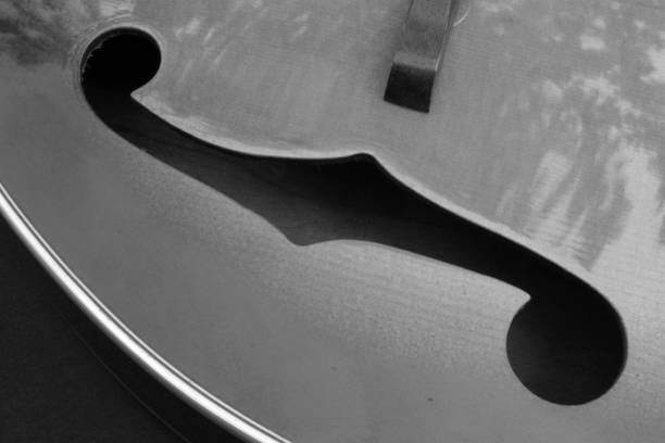 istock Close up, abstract details of stringed musical instruments including mandolins, guitars, and ukuleles shot in black and white.  H 1251379231