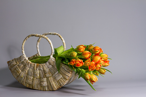 Straw basket with bouquet of fresh orange tulips on gray backdrop, greeting or gift concept