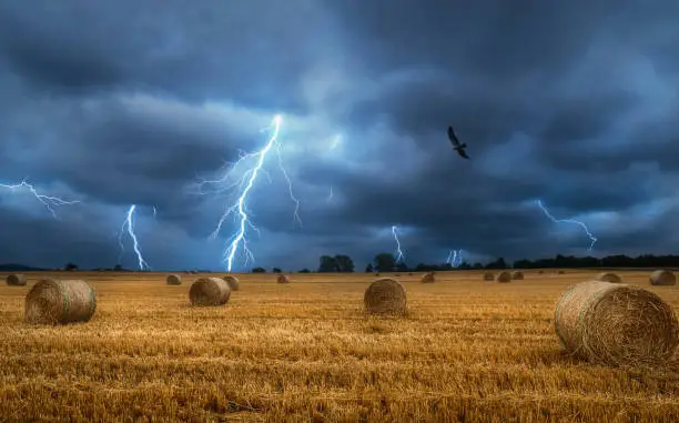 Bales of hay on the field during a lightning storm. Force of nature landscape. Agricultural field with straw bales and lightning bolts. Countrylife.