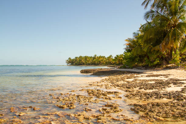 istock Sandy beach with small rock formations and palm trees 1251382148
