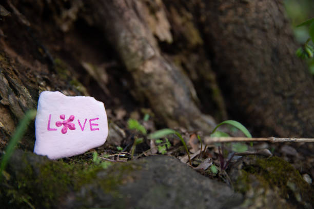 Pink painted rock with the text, \