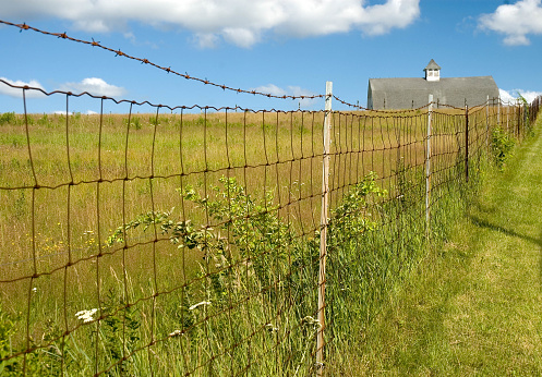 A strand of barbed wire tops a fence along a pasture at a farm in central Massachusetts