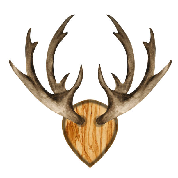 istock Watercolor antlers on wooden board 1251389826