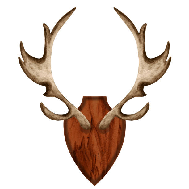 istock Watercolor antlers on wooden board 1251389967