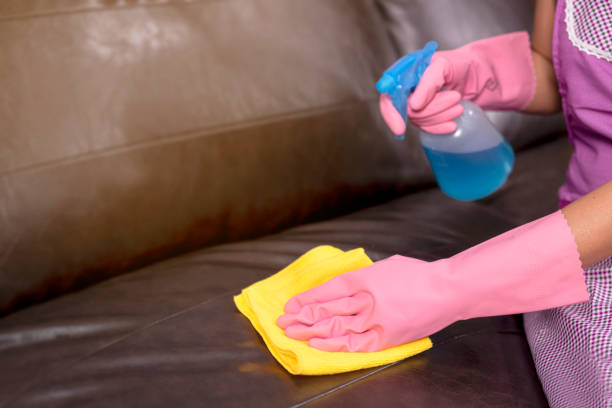 istock Woman wipe sofa with germicidal spray and wipe with towel. 1251391349