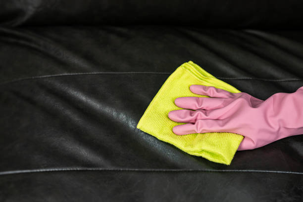 istock Woman wipe sofa with germicidal spray and wipe with towel. 1251391354