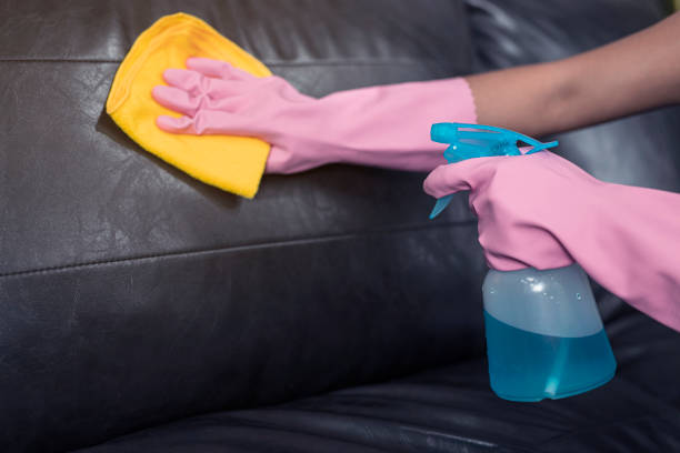 istock Woman wipe sofa with germicidal spray and wipe with towel. 1251391392