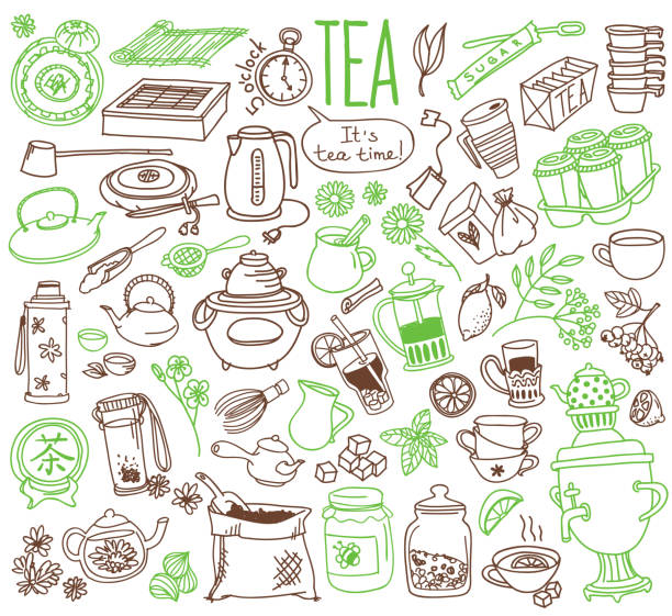 illustrazioni stock, clip art, cartoni animati e icone di tendenza di set di doodle da tè. varietà di bevande e accessori per la cerimonia del tè. - chinese tea teapot isolated tea