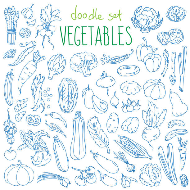 Vegetables doodle set. Green organic grocery farm products for healthy diet. Vector hand drawn illustration isolated on white background cauliflower nutrition stock illustrations